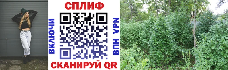 Купить наркотики цена Катайск КОКАИН  Мефедрон  Конопля 