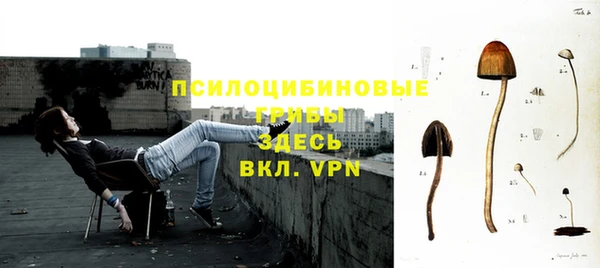 метадон Алексин