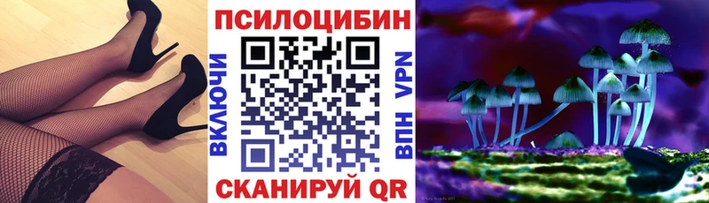 Галлюциногенные грибы Psilocybe Катайск