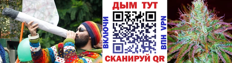 где продают   Катайск  Каннабис семена 